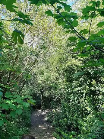 Photo de Badsey Lane Nature Reserve