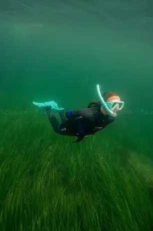 Photo de Atlantic Scuba Adventures