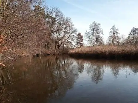 Photo de Runde Wiese