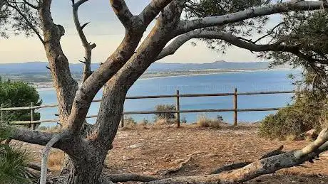 Photo de Mirador del Cap de la Barra