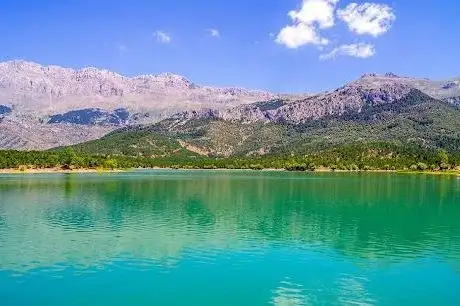 Photo de Tarasçı Sulama Pond