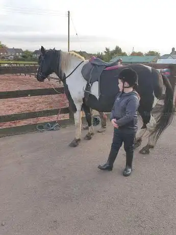 Photo de Pony club