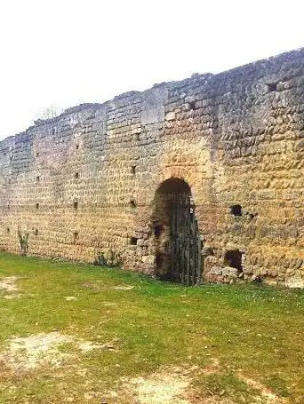 Photo de Aula Carolingienne de Doué-la-Fontaine