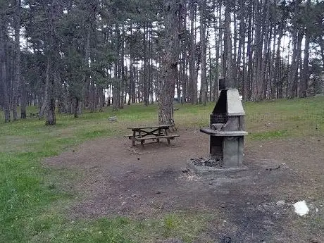 Foto de Kocayayla mesire alani