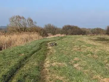 Photo de Combe Valley Countryside Park - Reedswood Road Access Point