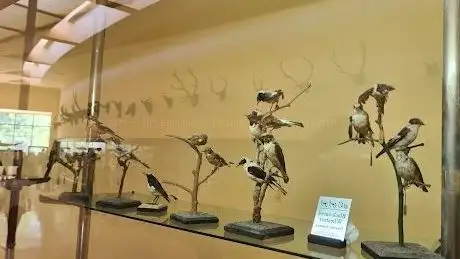 Photo de Natural History Museum