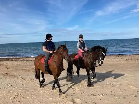 Shrule equestrian centre  Shrule Pet Farm