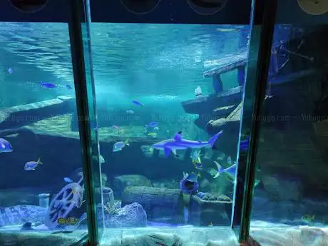 Exploris Aquarium