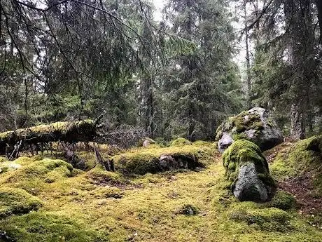 Photo de Hågadalen-Nåsten