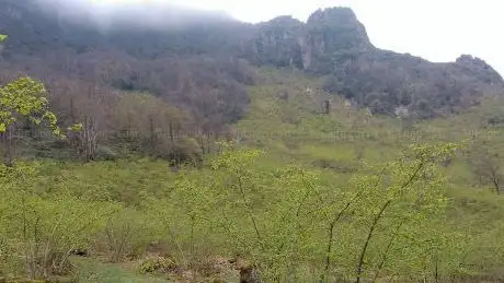 Photo de Ulutaflan Gulyali Ordu