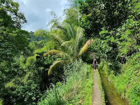Photo de Randonnée Martinique : Trace du canal des Esclaves – Le Carbet