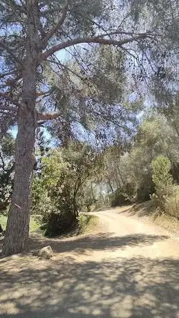 Photo de Coll de Can Bori