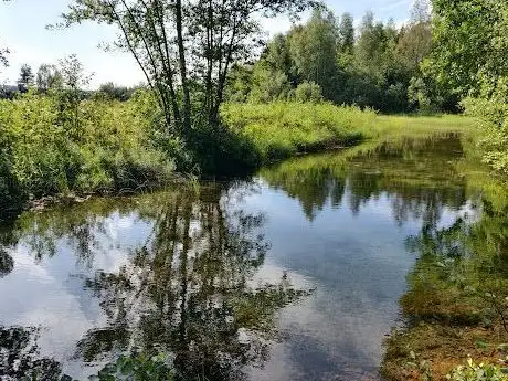 Photo de Alderängarna