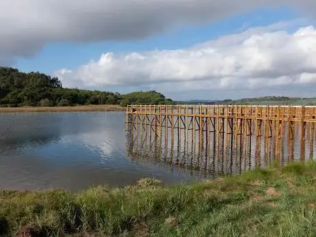 Photo de Cais Palafitico da Barrosa Nadadouro