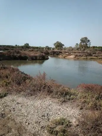 Photo de BahÃ­a Cádiz Natural Park