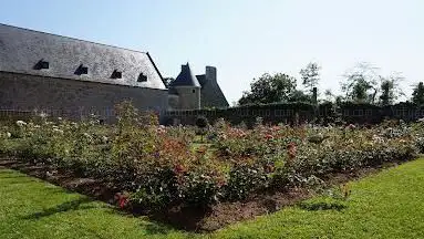 Photo de Chateau de Montfort