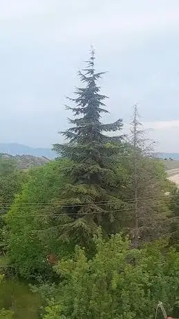 Photo de Akpinar Koyu Muhtarligi