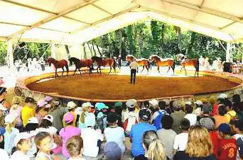 Photo de Park Alexis Gruss