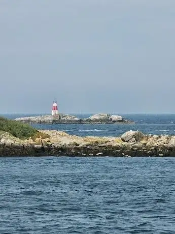 Photo de Muglins Lighthouse