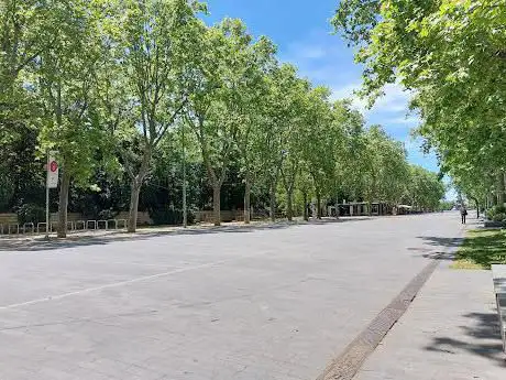 Photo de Paseo Acera de Recoletos (Campo Grande)