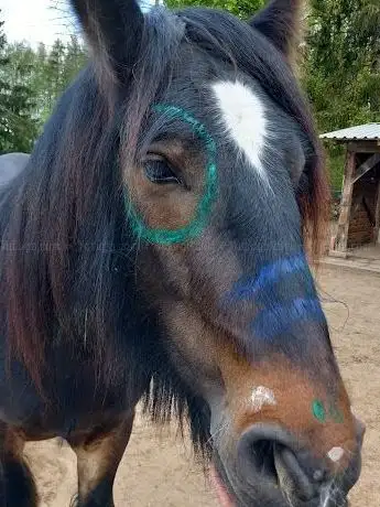 Photo de Tinkerhof-Weidedamm