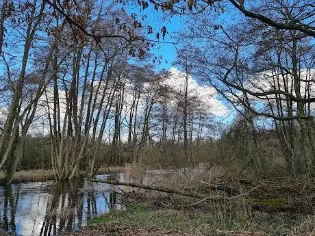 Photo de Wasserplatz 