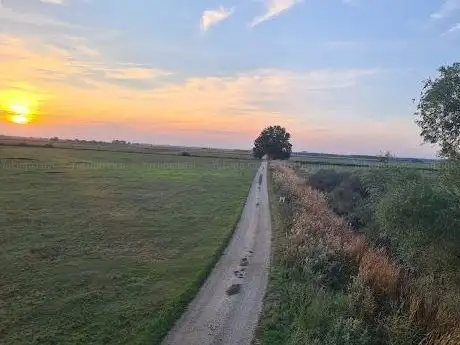 Photo de Nationalpark Aussichtsturm