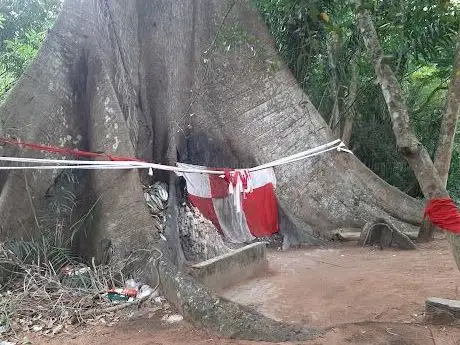 Photo de Source Of River Ethiope UMUAJA