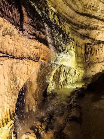 Photo de Dan-yr-ogof Shire Horse Centre