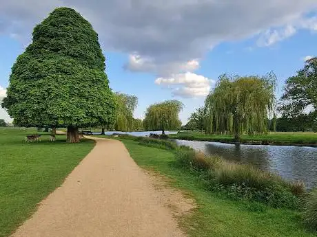Photo of Bushy Park