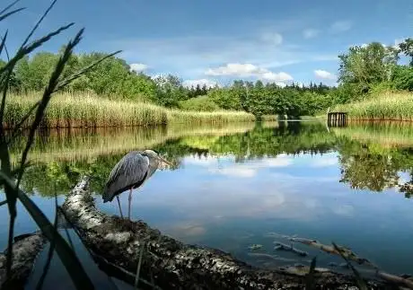 Photo de Waldsee - Tonkuhle Potthagen