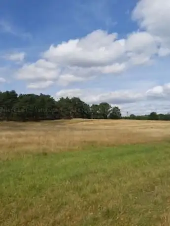 Photo de Förderverein National Park Senne Eggegebirge