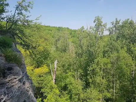 Photo de La Forge du Boulou