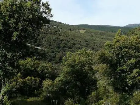 Photo de GIARDERIA PARQUE NACIONAL CABAÑEROS