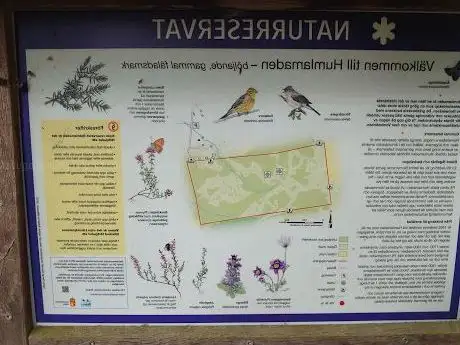 Photo de Humlamadens naturreservat