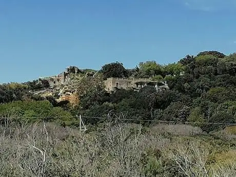 Photo de Riserva Naturale Costa di Licola