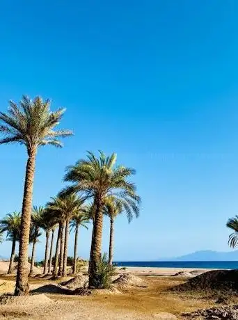 Photo de Maayan Beach