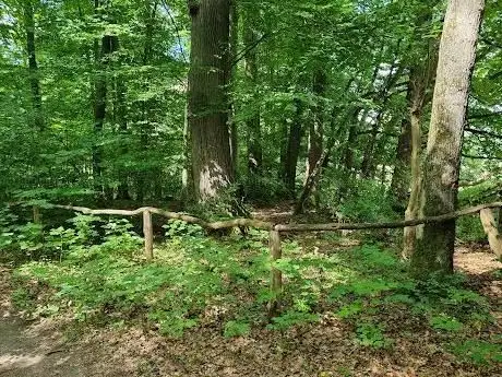Photo de Barfußpfad Nienhagen