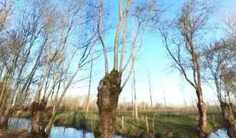 Photo de Marais de Saint-George de Rex-Amuré