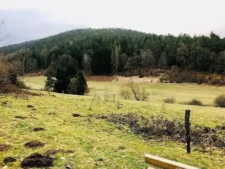 Photo de Rinderbachtal