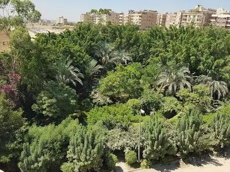 Photo de Al Nesma Park-حديقة النسمة