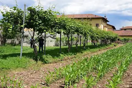 Photo de Monastero Domenicano del Santo Rosario