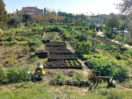 Photo de Orti Urbani del Parco di Monte Ciocci