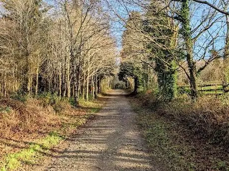 Photo de Ballyfad nature walk