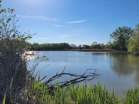 Photo de Area di Riequlibrio Ecologico Torrazzuolo