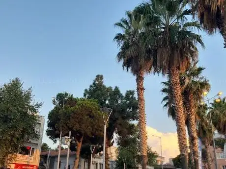 Photo de Dikili Ataturk Meydani
