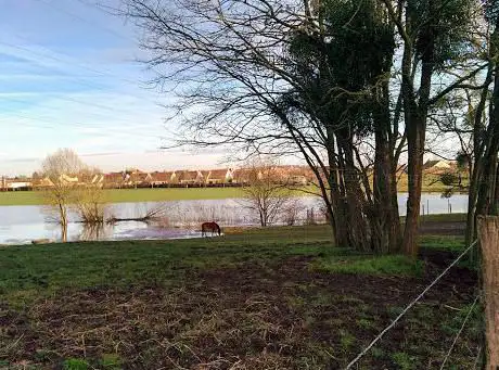Photo de Stade De Bsc Brou-sur-chantereine