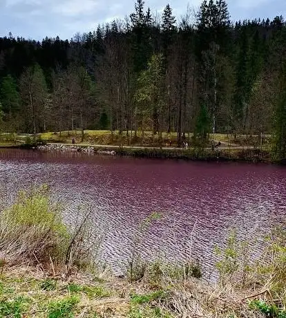 Photo de Gipsbruchweiher