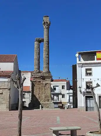 Photo de Dystilo