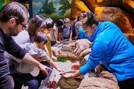 Photo de SEA LIFE New Jersey Aquarium